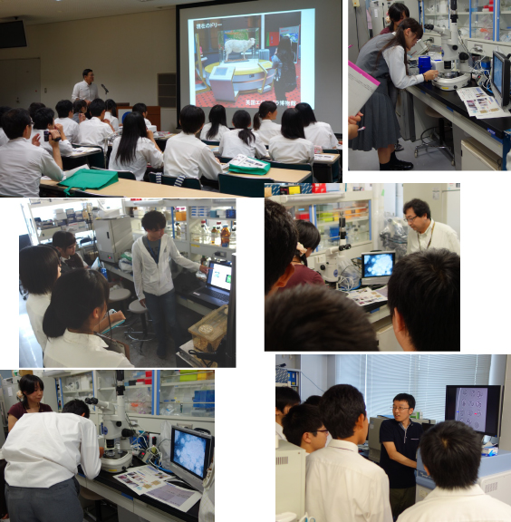 The Lab Tour for Takamatsu-Kita High School Students