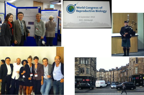 World Congress of Reproductive Biology, Edinburgh, U.K.